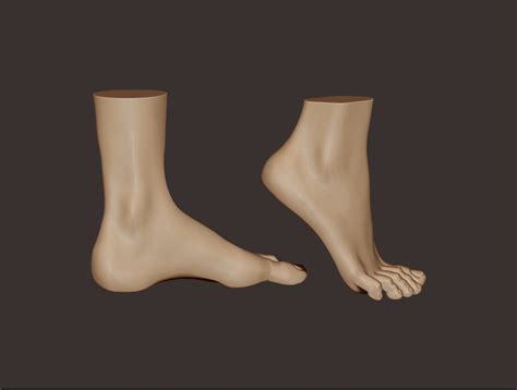 High Poly Digital Human Feet Sculpture 3d Model Cgtrader