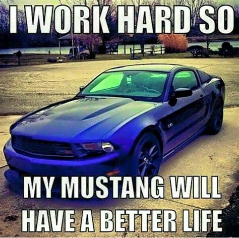 True Lol Mustang Humor Mustang Cars Mustang