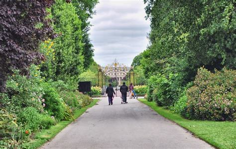 Queen Marys Rose Garden The Rose Gardens In Regents Park Flickr