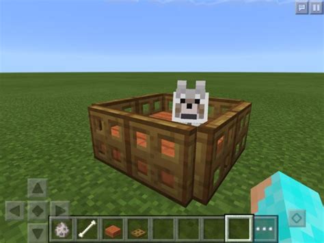 Press the tame button until the wolf is tamed. How to Make a Pet Bed in Minecraft PE 0.13.0 +: 5 Steps