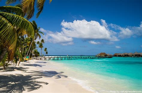 Interesting Facts About Maldives Just Fun Facts