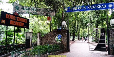 Deer Park Hauz Khas Delhi Entry Fee