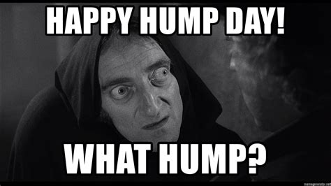 28 Funniest Happy Hump Day Memes That Makes You Fun Happy Hump Day Memes Hump Day Memes