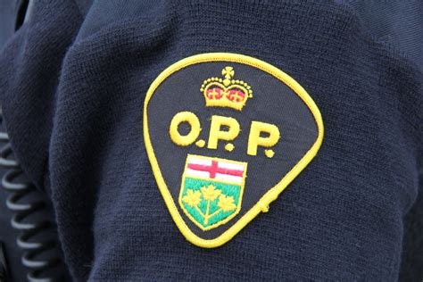 Erin Man Faces Sexual Assault Charge Guelph News