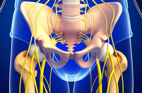 Groin Nerve Pain Overview And Treatment Options