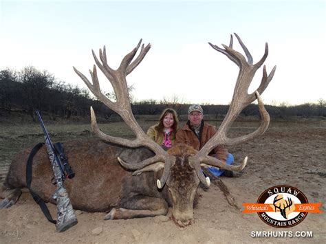 Red Stag Hunts Exotic And Whitetail Trophy Hunts Squaw