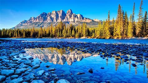 1920x1080 Forest Mountains Nature Reflection Trees Lake