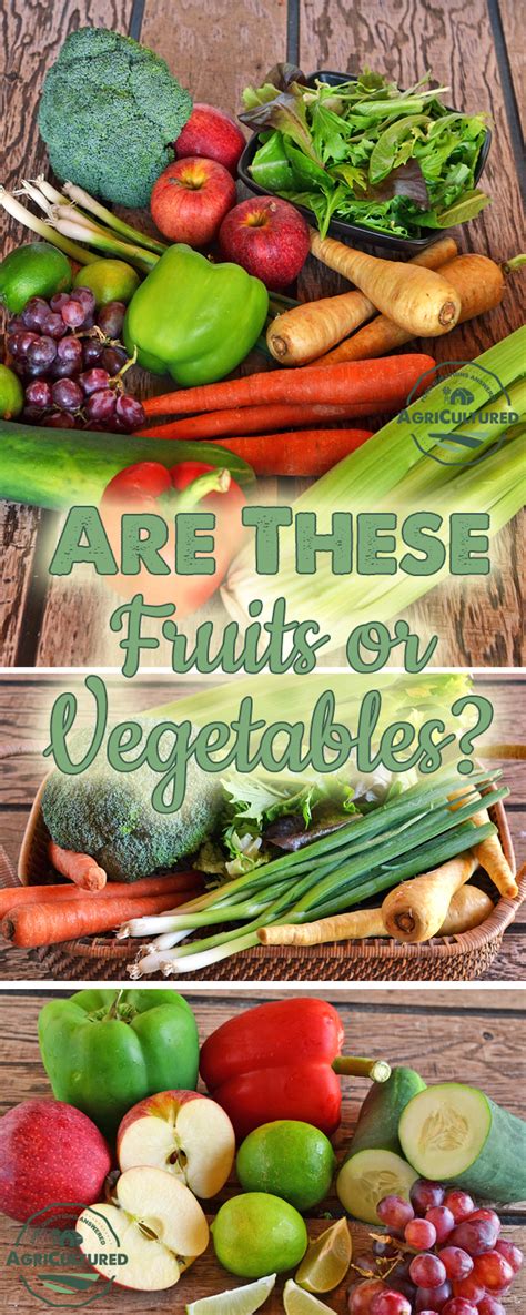 Whats The Difference Between Fruits And Vegetables My Fearless Kitchen