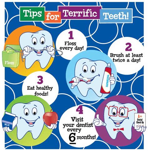 Tips For Terrific Teeth 1 Floss Every Day 2 Brush At Least Twice A