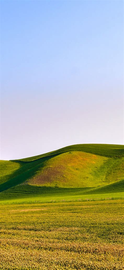 Great Field Dunes Wallpaper 4k Green Meadow Landscape Scenery