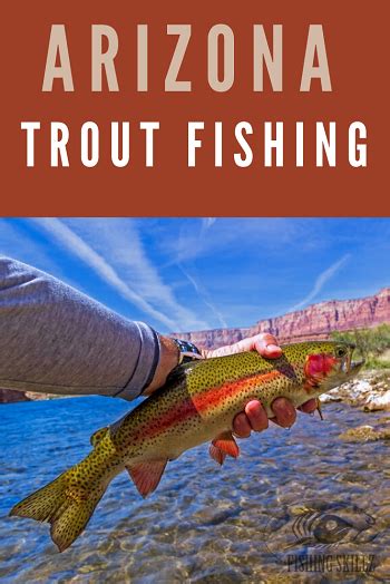 Fly Fishing Arizona Guide