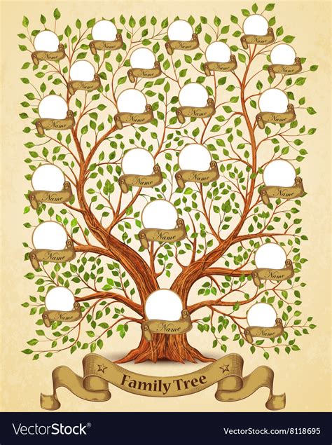 Vertical lines ( i ): Family Tree template vintage Royalty Free Vector Image