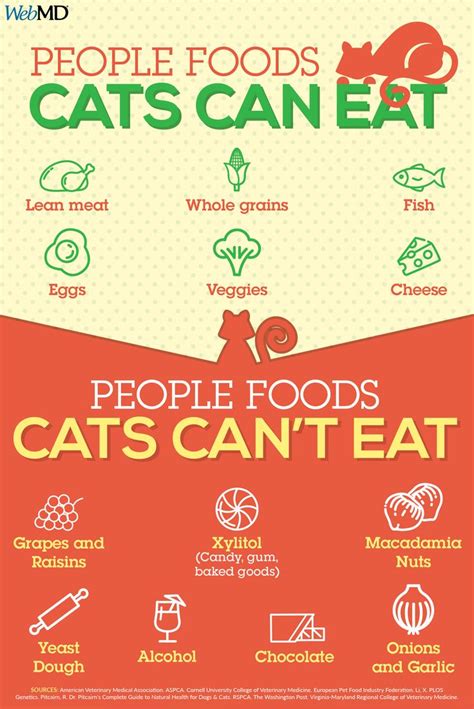 People Foods Cats Can Eat Foods Cats Can Eat Cat Nutrition Cat Food