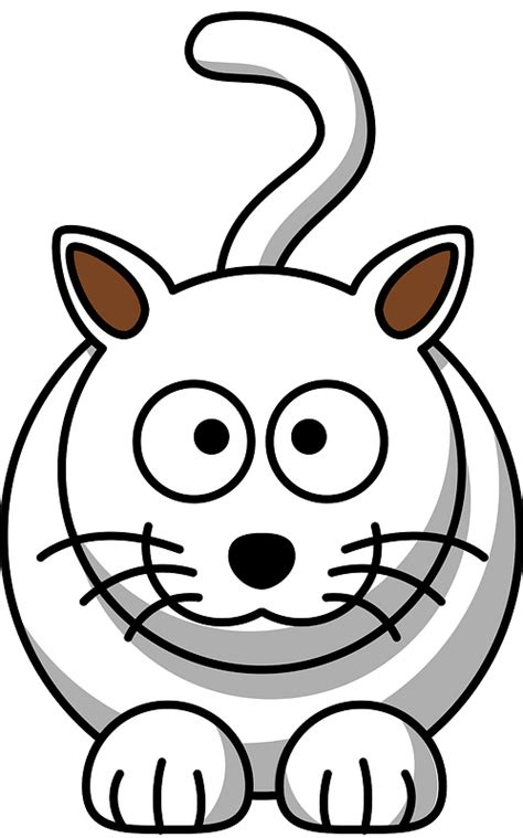 Smiling White Cat With Big Eyes Clipart Free Download Transparent Png