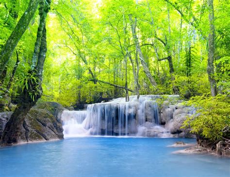 Peaceful Forest Waterfalls Landscape Flowing In Summer Aff