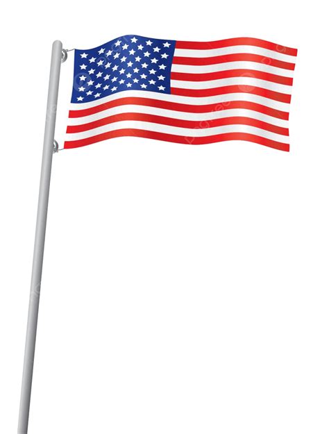 Usa Flag American White Freedom Vector American White Freedom Png