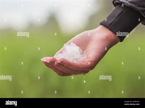 Hand Full Of Hailstones After Strong Storm Stock Photo Alamy