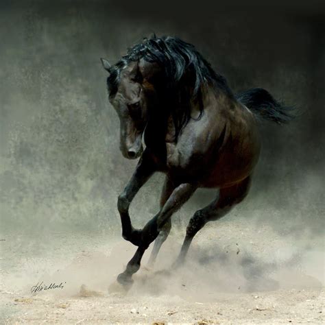 Amazing Dark Horse Running Okay Wallpaper