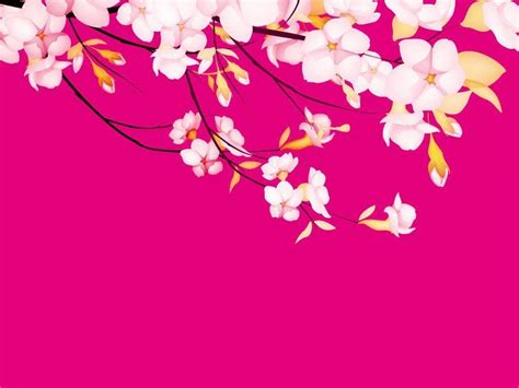 Pretty In Pink Wallpapers Wallpaper Cave