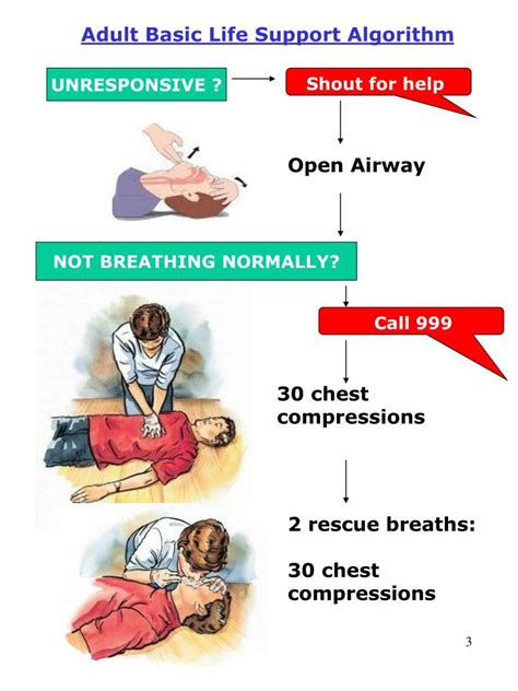 Ppt Basic Life Support Powerpoint Presentation Id5616292
