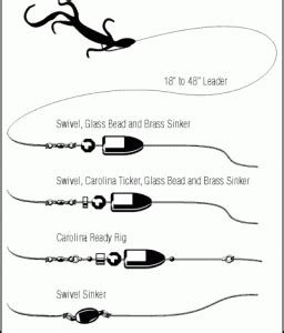 Top Bass Fishing Setups