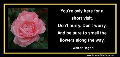 122 just because flowers quotes. Hurry Quotes