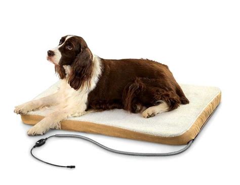 Maybe you would like to learn more about one of these? Review Heated Dog Beds Walmart | petswithlove.us