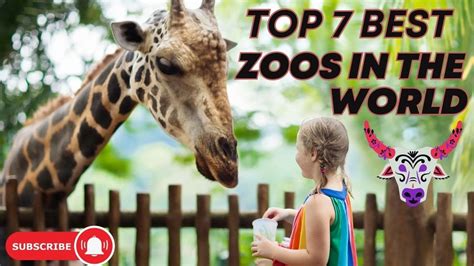 Top 7 Stunning Zoos In The World Youtube