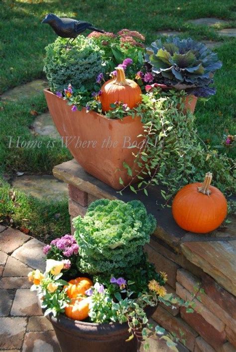 Animal Instincts Fall Planters Fall Container Gardens Autumn Garden