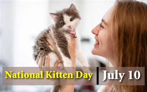 National Kitten Day 2022 July 10 Kitten Day Images Quotes Facts