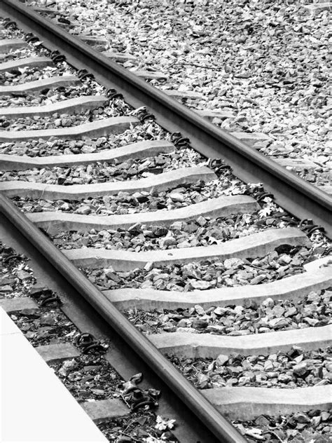 Railroad Tracks Black And White Photo Stock Image Image Of