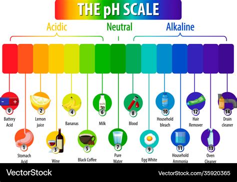 Ph Scale Diagram On White Background Royalty Free Vector