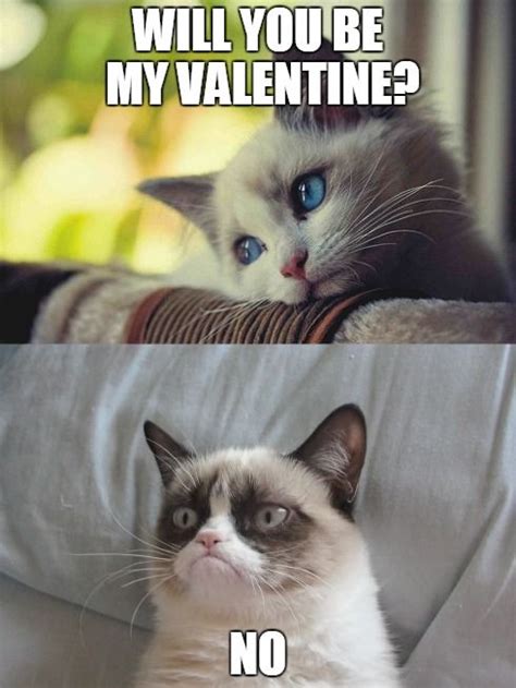 Grumpy Cat Valentine Imgflip Grumpy Cat Valentines Grumpy Cat