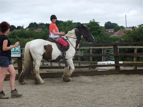 Millfield Riding School Prices And Bookings 2024