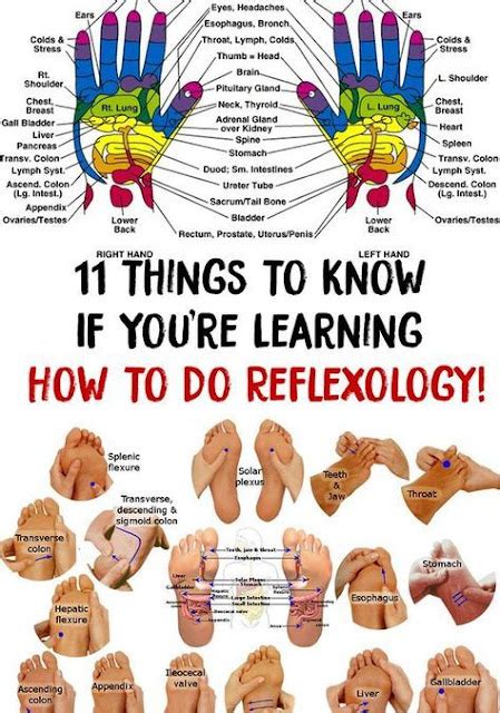 11 Things To Know If Youre Learning How To Do Reflexology Wellness Magazine