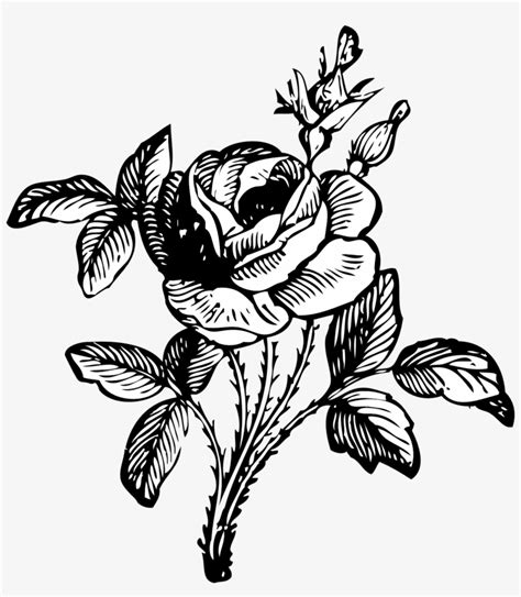 Black Rose Drawing Art Black And White Flower Bouquet Clip Art Black
