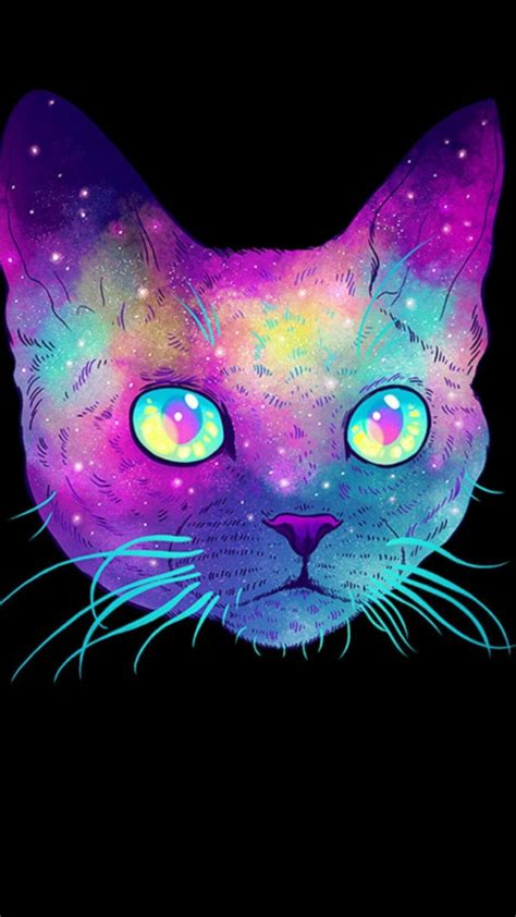 Galaxy Cat Wallpapers 28 Images Inside