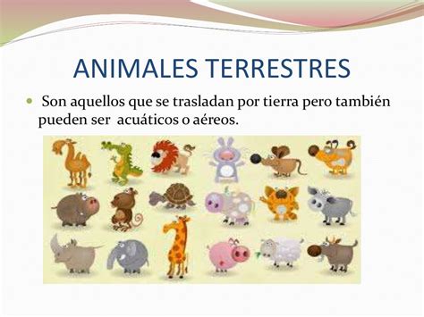 ClasificaciÓn De Animales AcuÁticos AÉreos Terrestres Y Terrestres
