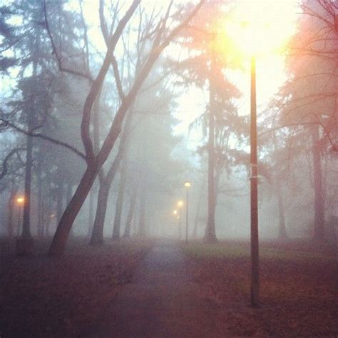 Pin By Kristin Mortson On Ill Landscape Photos Instagram Foggy