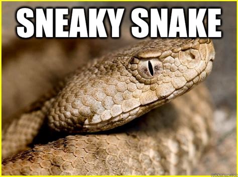 Sneaky Snake Sneaky Snake Quickmeme