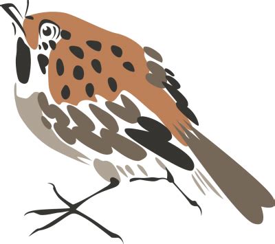 Free PNG Sparrow | Free png, Png, Sparrow