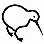 Kiwi Bird Drawing Icon Weka Birds Clipart