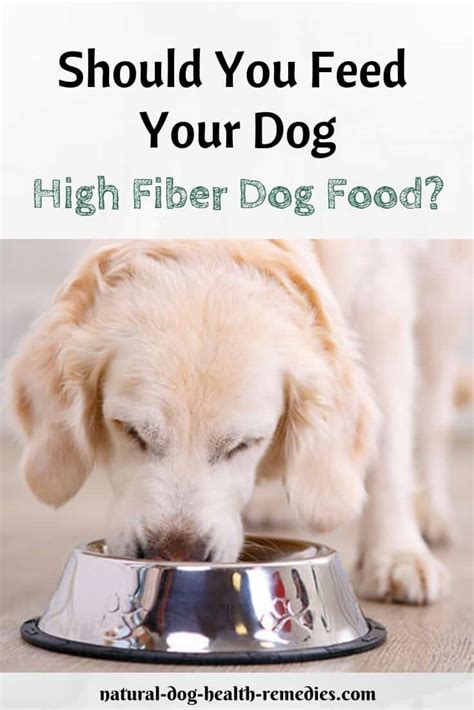 Limited ingredients dog foods from natural balance are high in fiber to help support digestion. Is High Fiber Dog Food Good for Dogs?