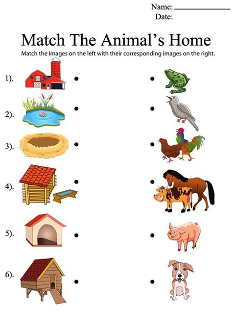 Help Animals Find Their Homes Worksheet Animal Habitats Preschool