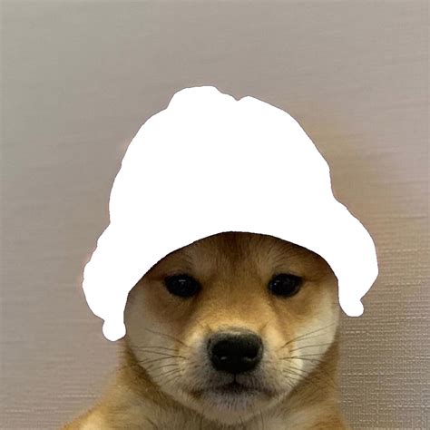 95 Shiba Inu Png Dog Meme Face