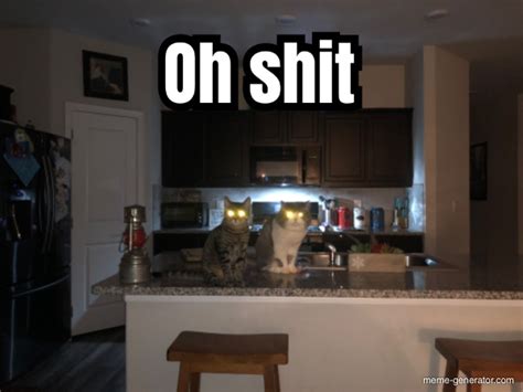 Oh Shit Cats Meme Generator