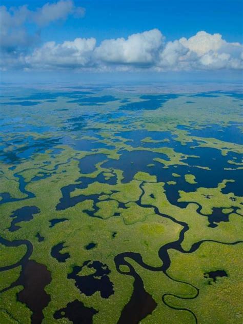 Everglades Aerial Np Bing Wallpaper Download