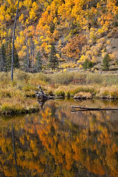 Autumn Pond Reflection Colorado Scott Fricke Photography