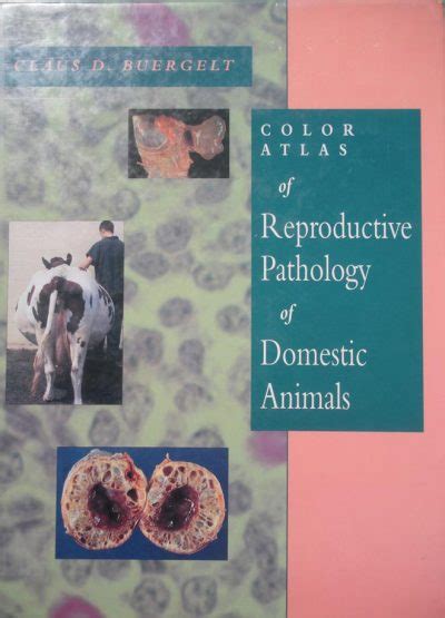 Color Atlas Of Reproductive Pathology Of Domestic Animals Vetbooks