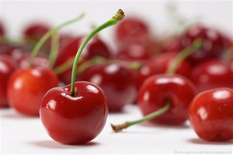Interesting Facts About Sour Cherries Just Fun Facts Hot Sex Picture